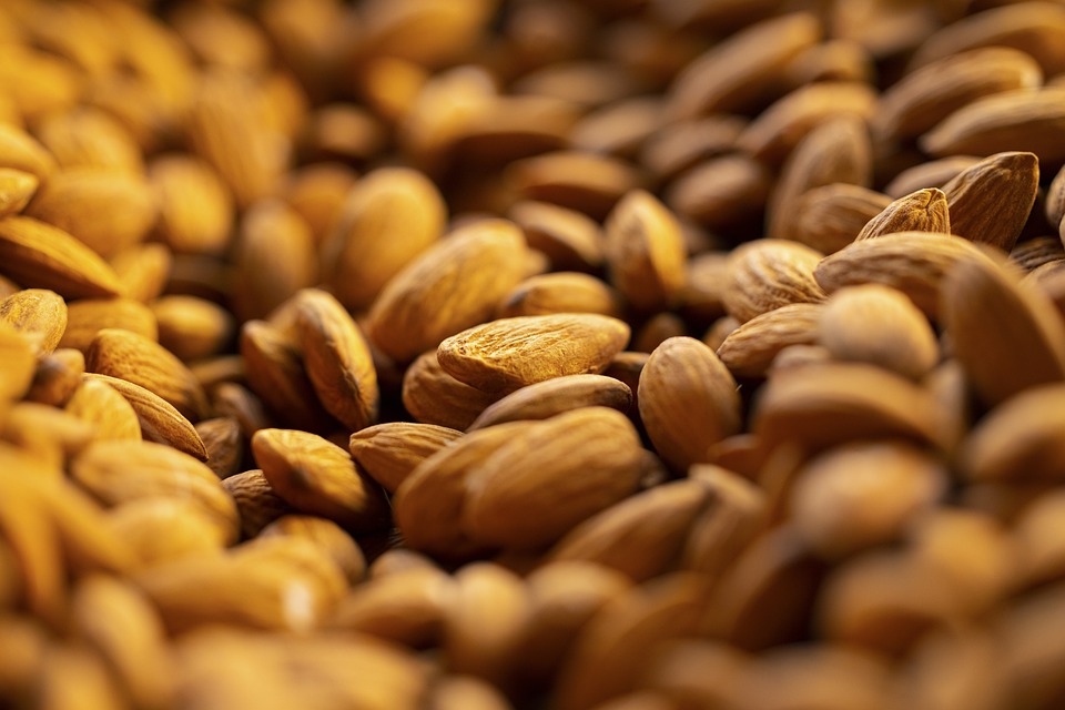 Almonds for ketogenic nutritional therapy