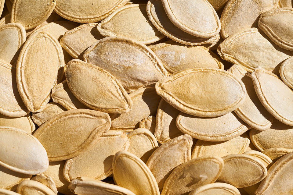 Pumpkin seeds for ketogenic nutritional therapy